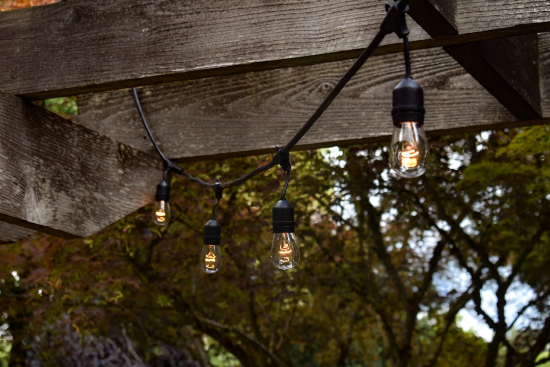 Illuminate Your Outdoors: Outdoor Lighting Ideas for Curb Appeal and Security